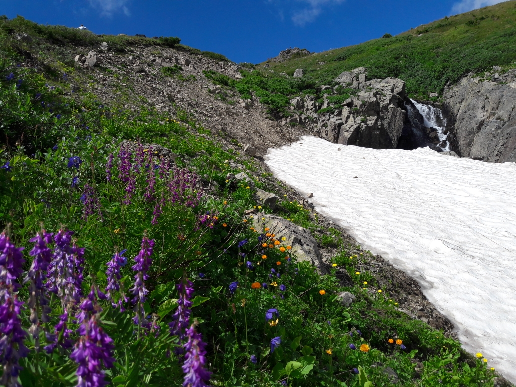 Алтай без границ