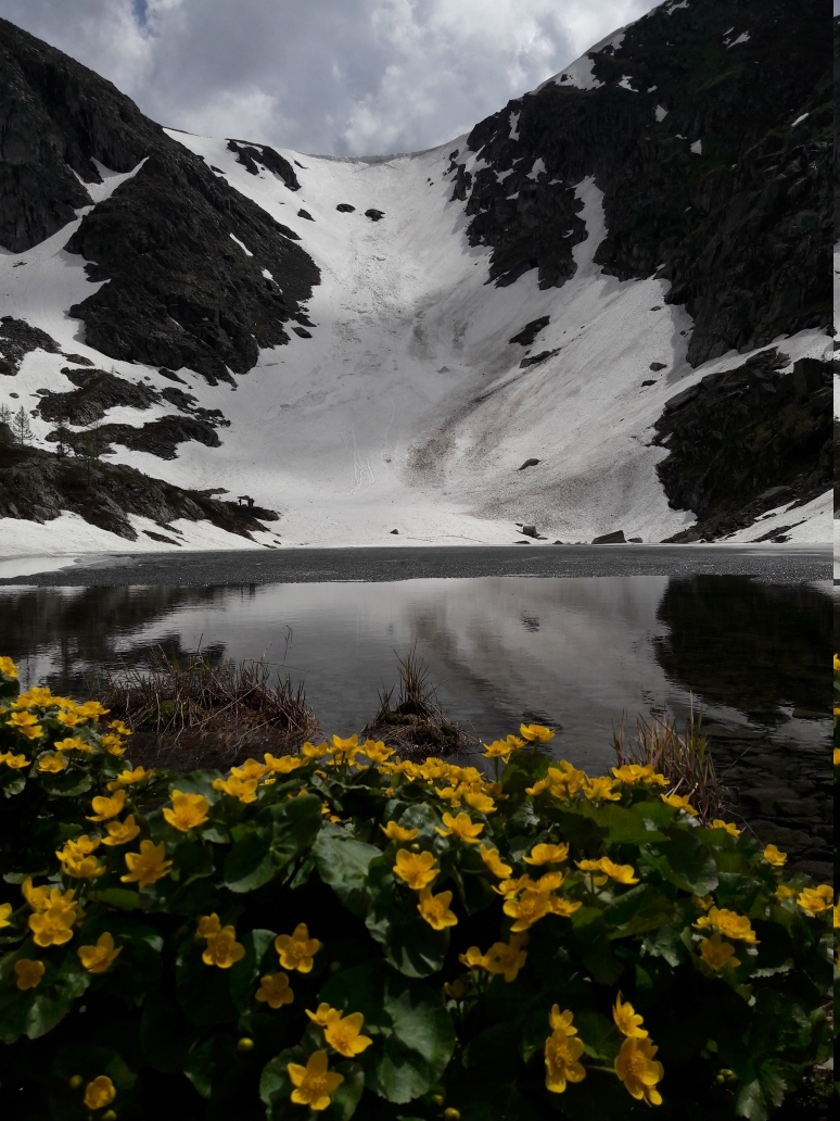 Алтай без границ (7/32)