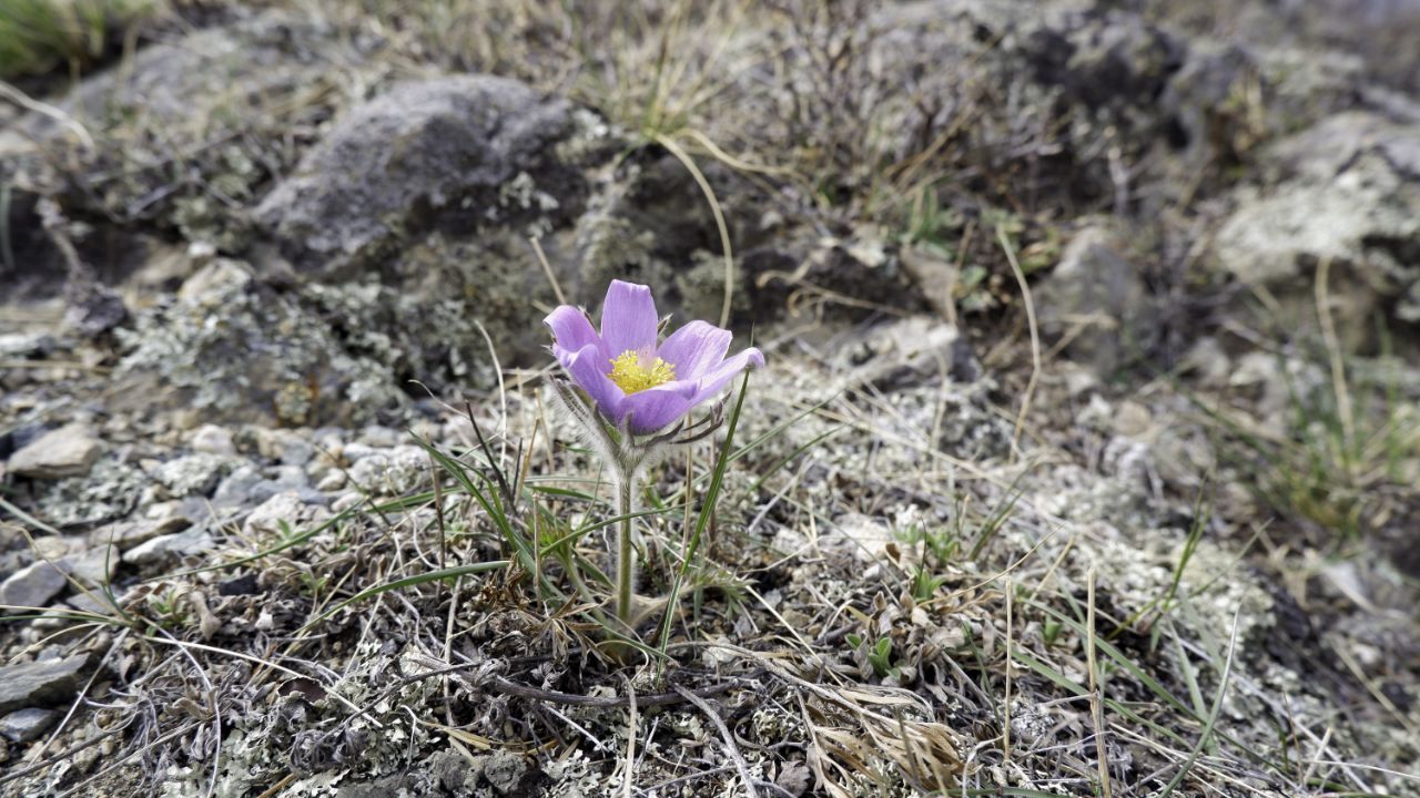 Пантовые ванны (17/38)