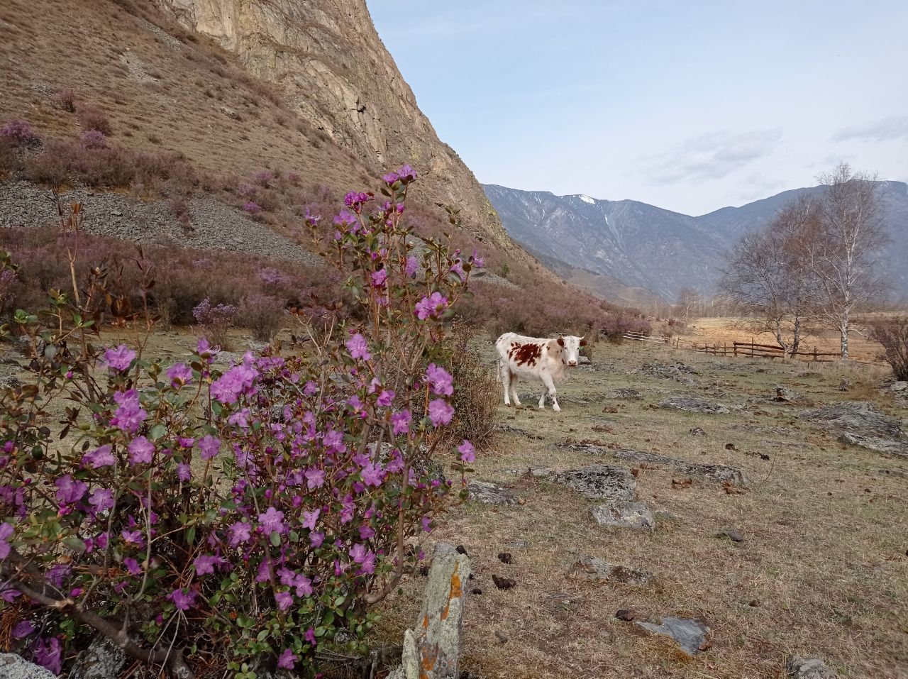 Пантовые ванны (18/38)