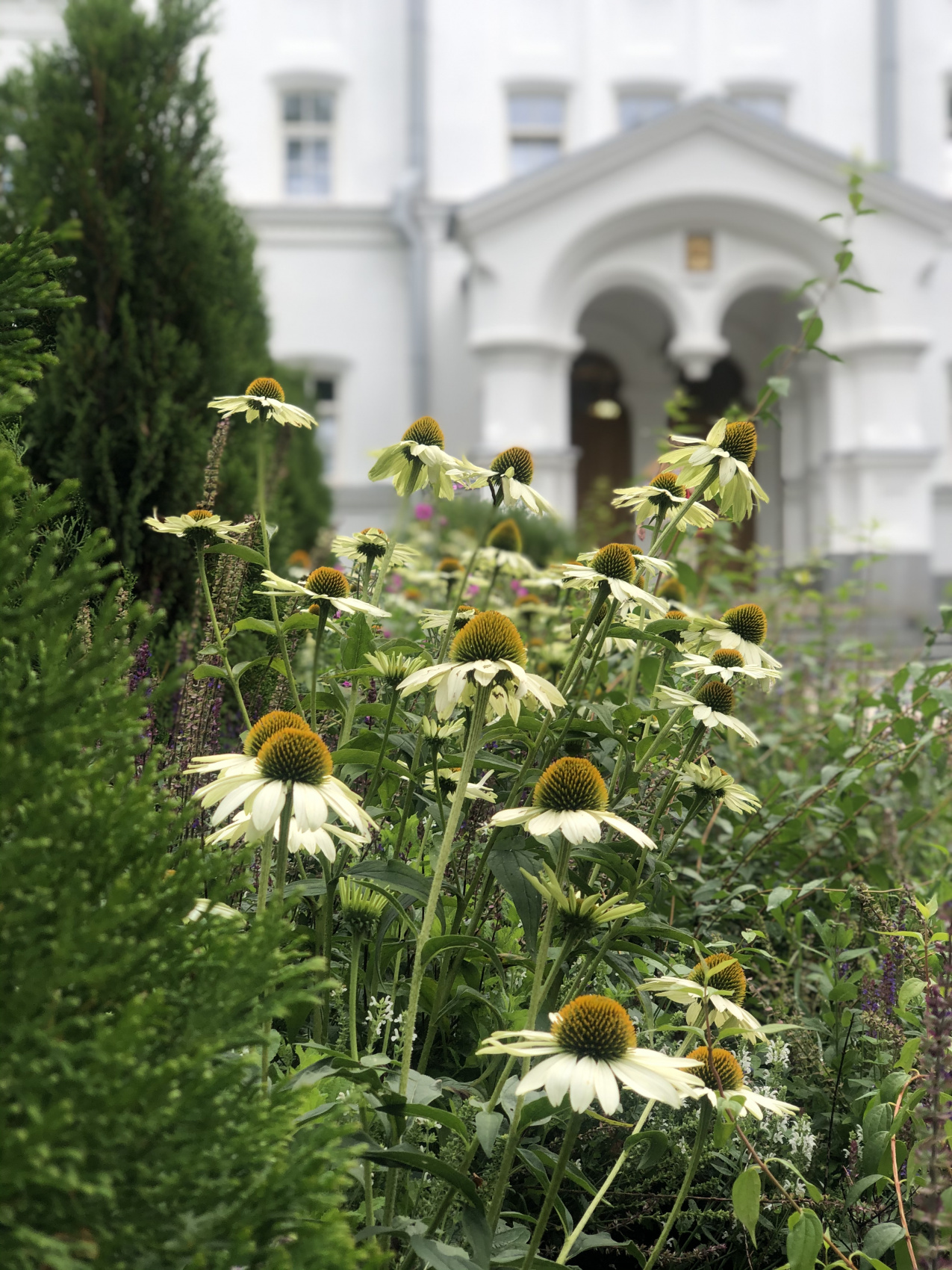 Карелия + Соловецкие острова (15/67)