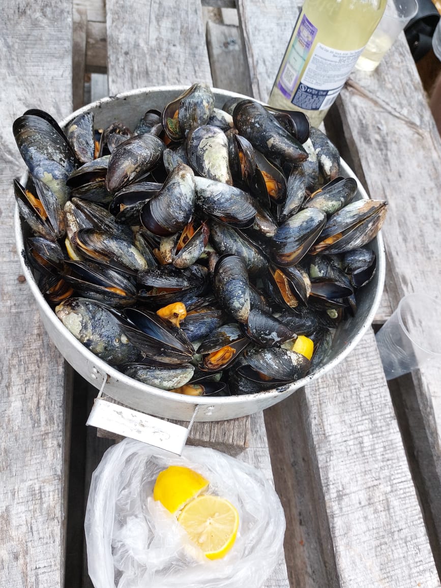 Карелия + Соловецкие острова (48/67)