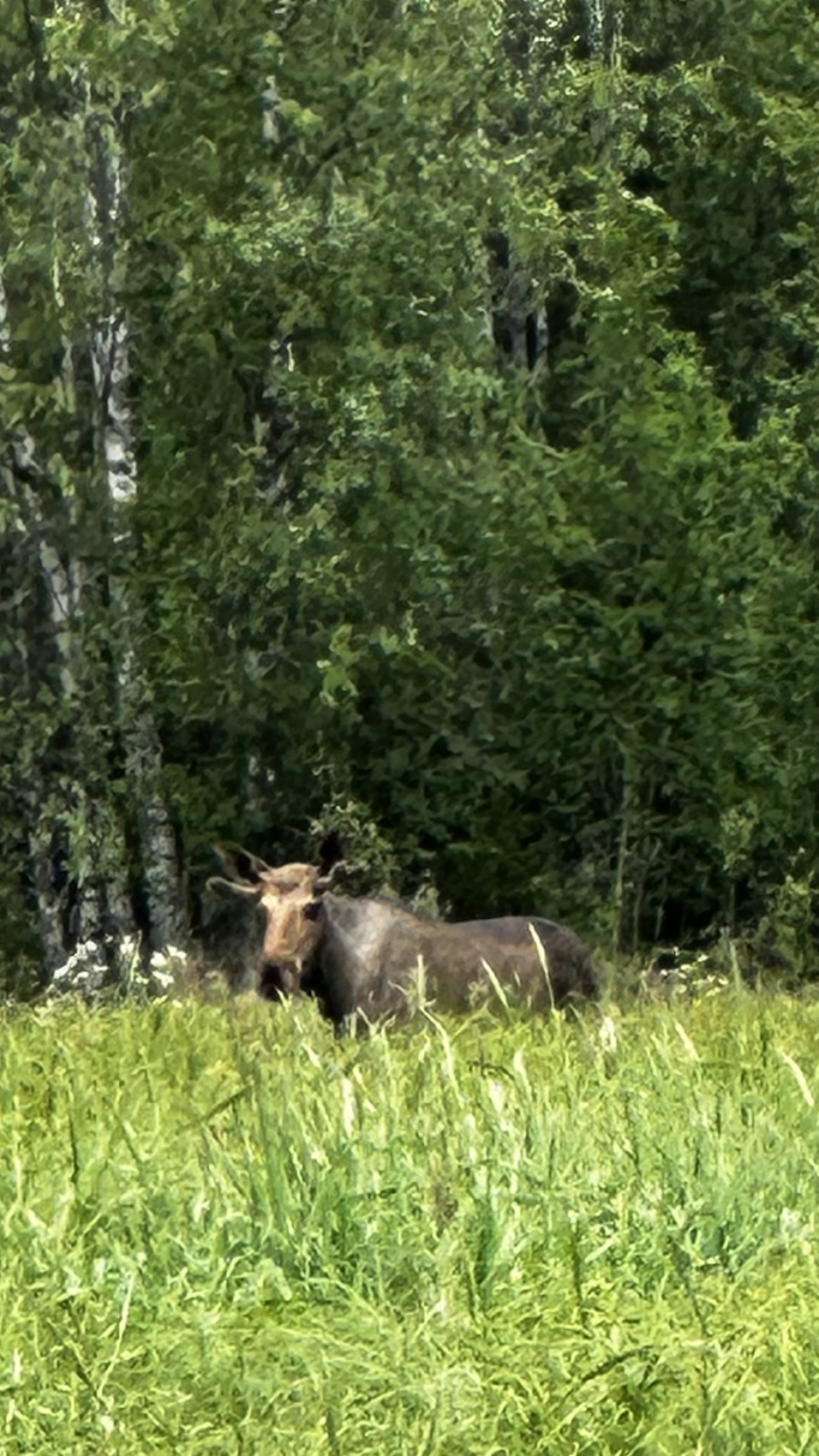 Карелия + Соловецкие острова (40/67)
