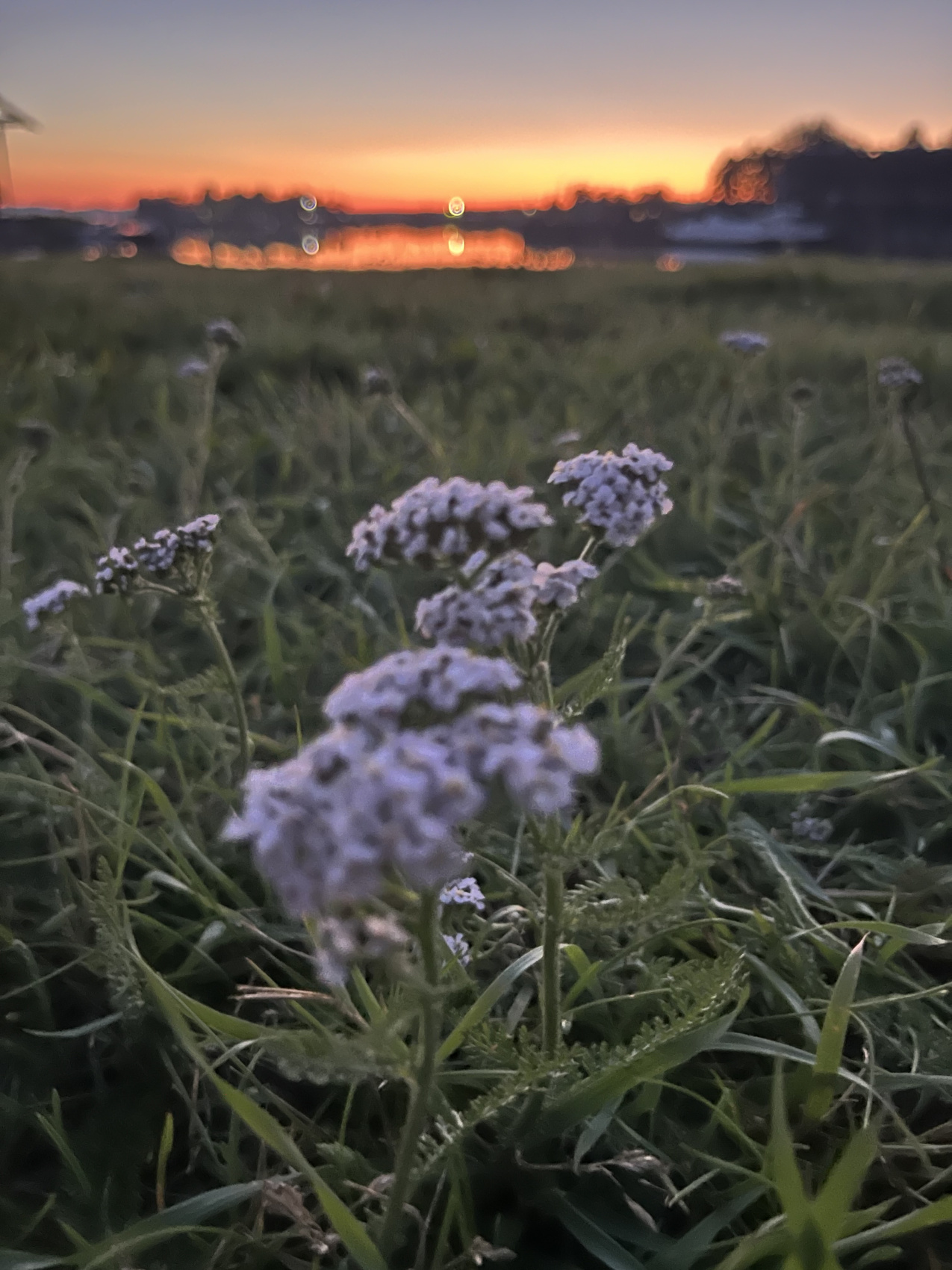 Карелия + Соловецкие острова (45/67)