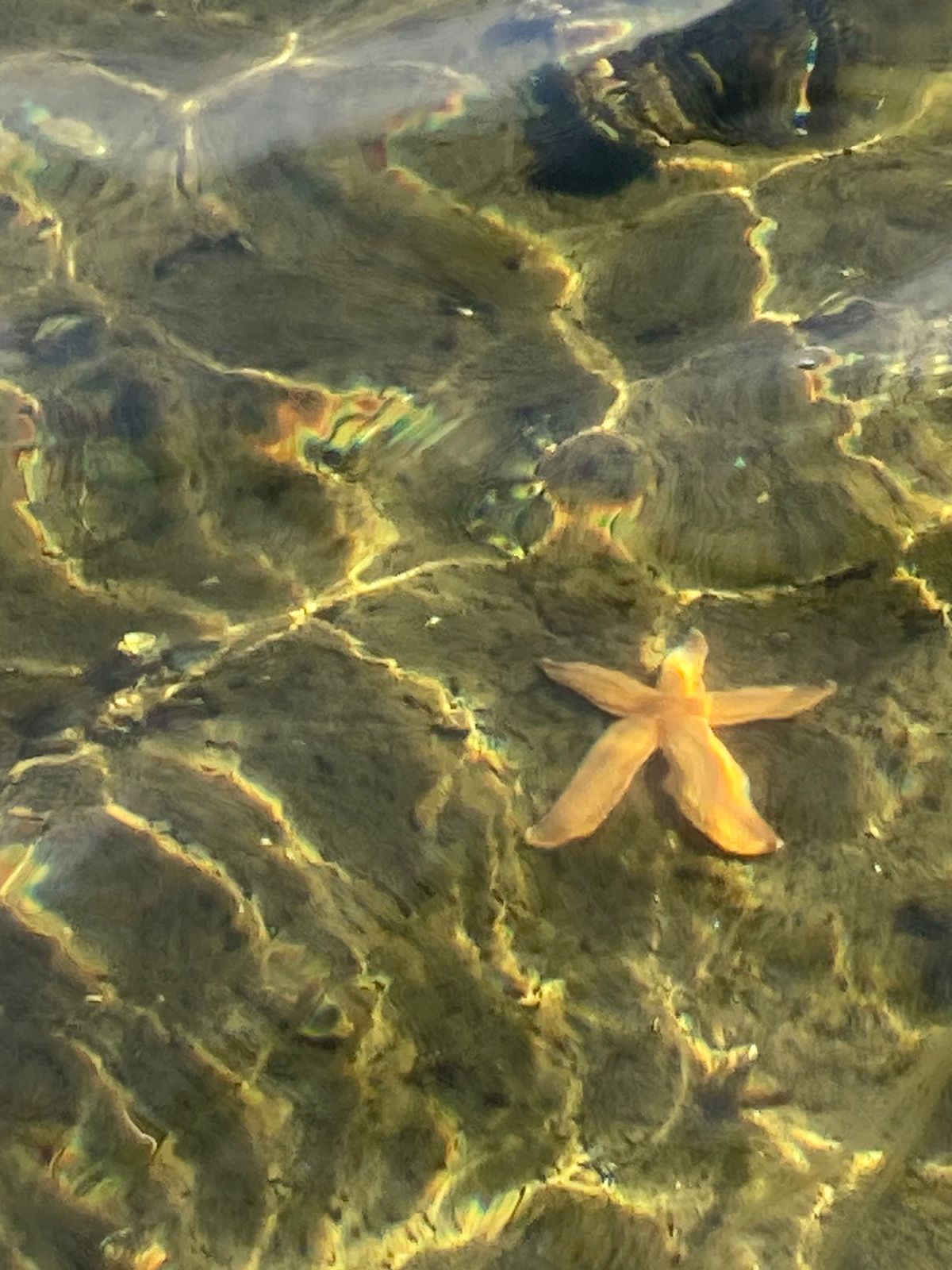 Карелия + Соловецкие острова (35/67)