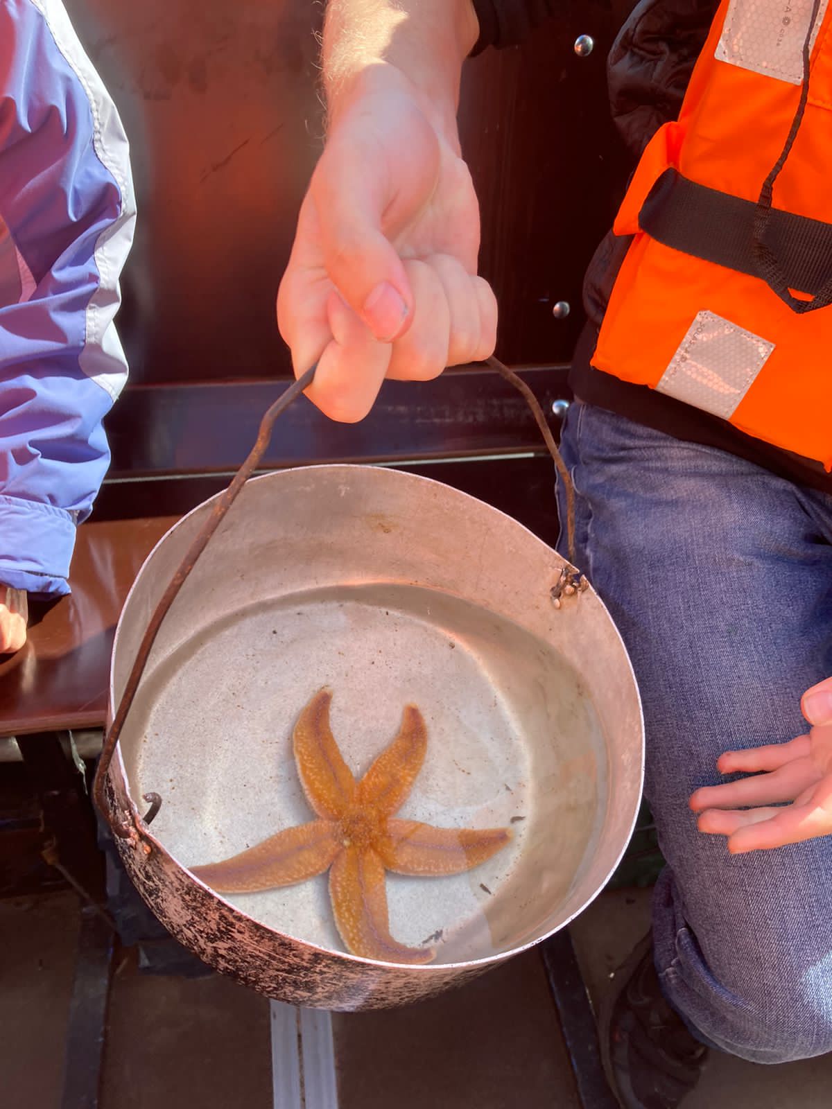 Карелия + Соловецкие острова (31/67)