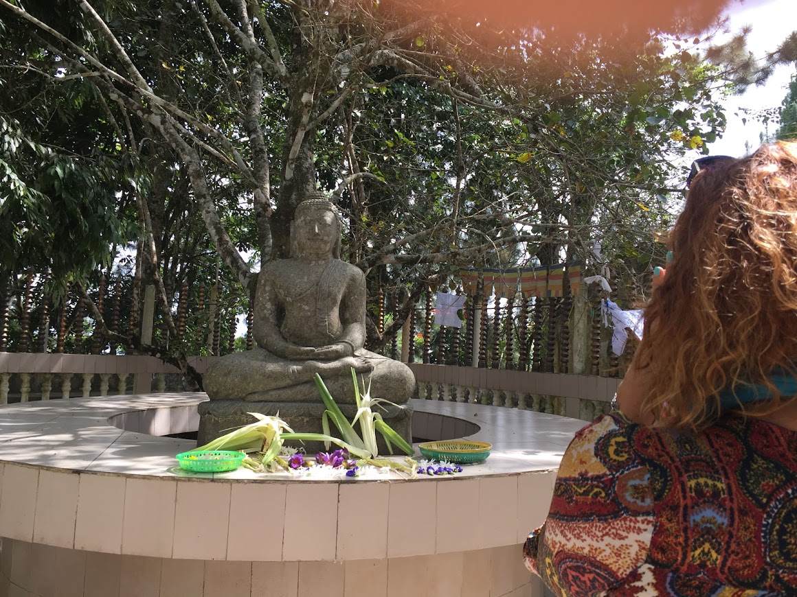 Удивительная Шри-Ланка (16/62)