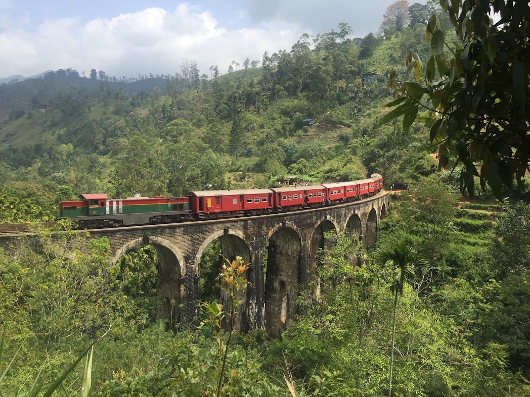 Удивительная Шри-Ланка (29/62)