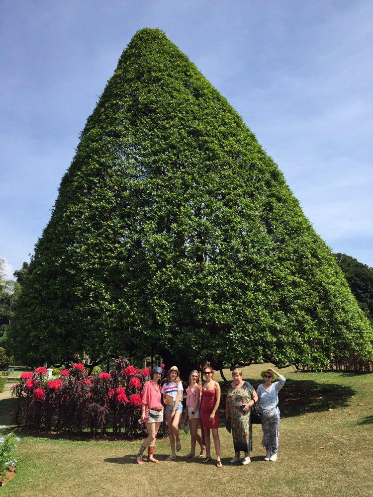 Удивительная Шри-Ланка (10/62)