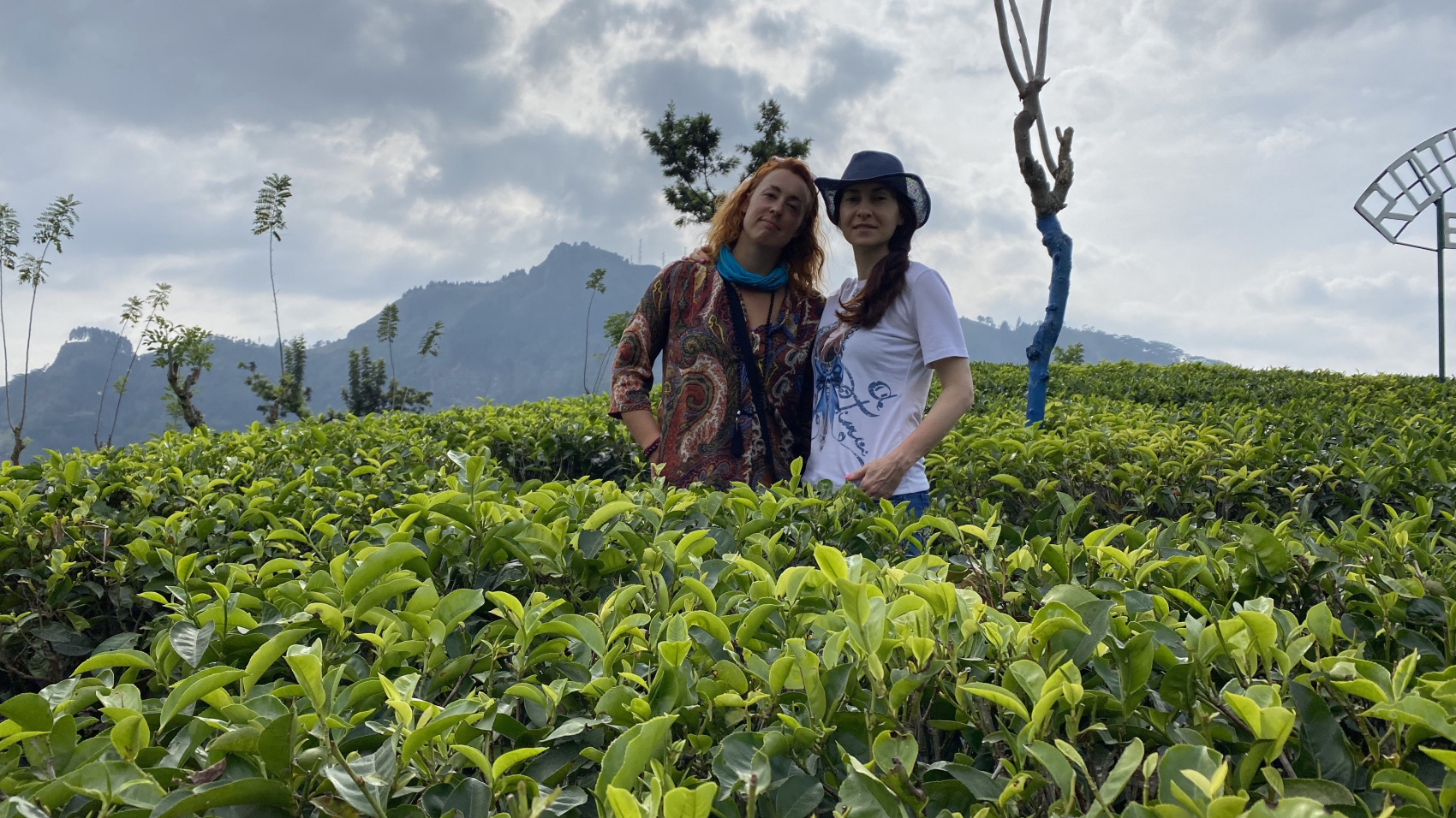 Удивительная Шри-Ланка (18/62)