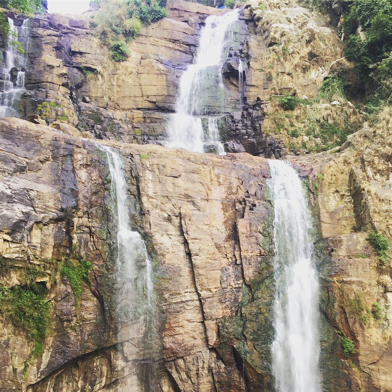 Удивительная Шри-Ланка (11/62)