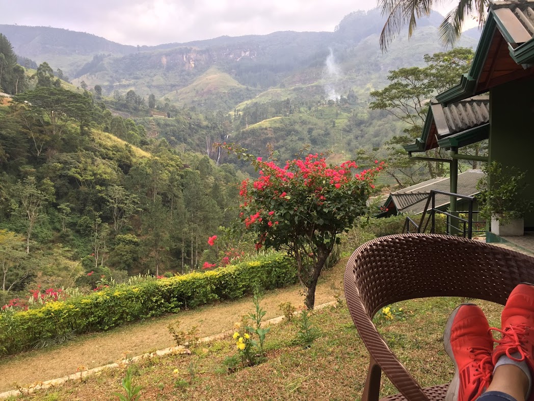 Удивительная Шри-Ланка (22/62)