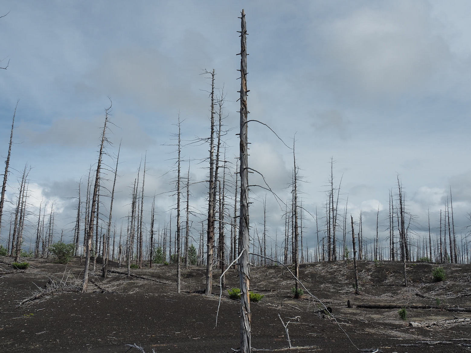 В сердце Камчатки (29/74)