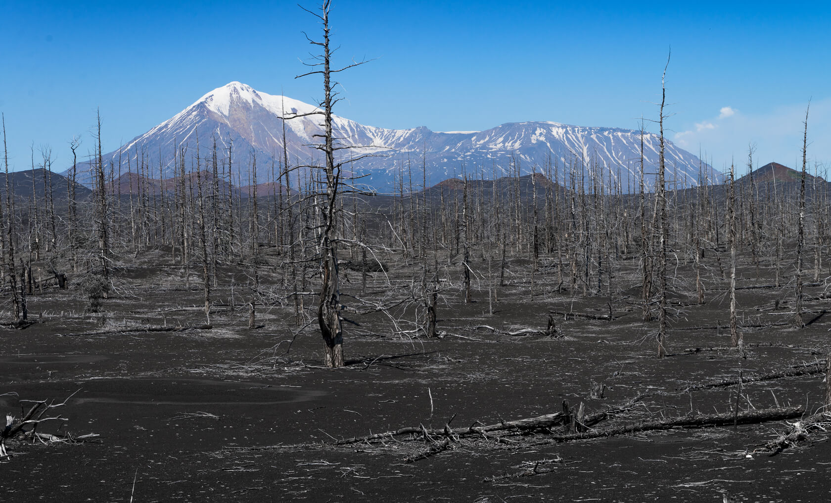 В сердце Камчатки (30/74)