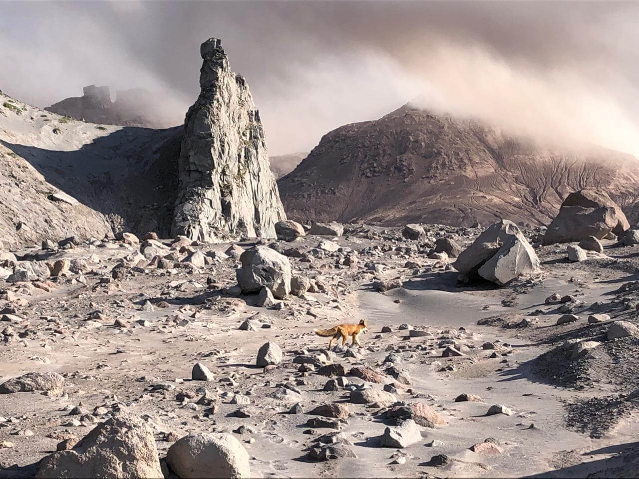 В сердце Камчатки (23/74)