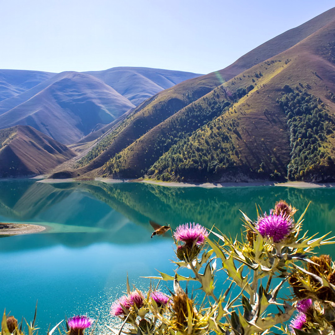 ДАГЕСТАН НАВСЕГДА • ДРЕВНИЕ АУЛЫ - индивидуальный тур (6/37)