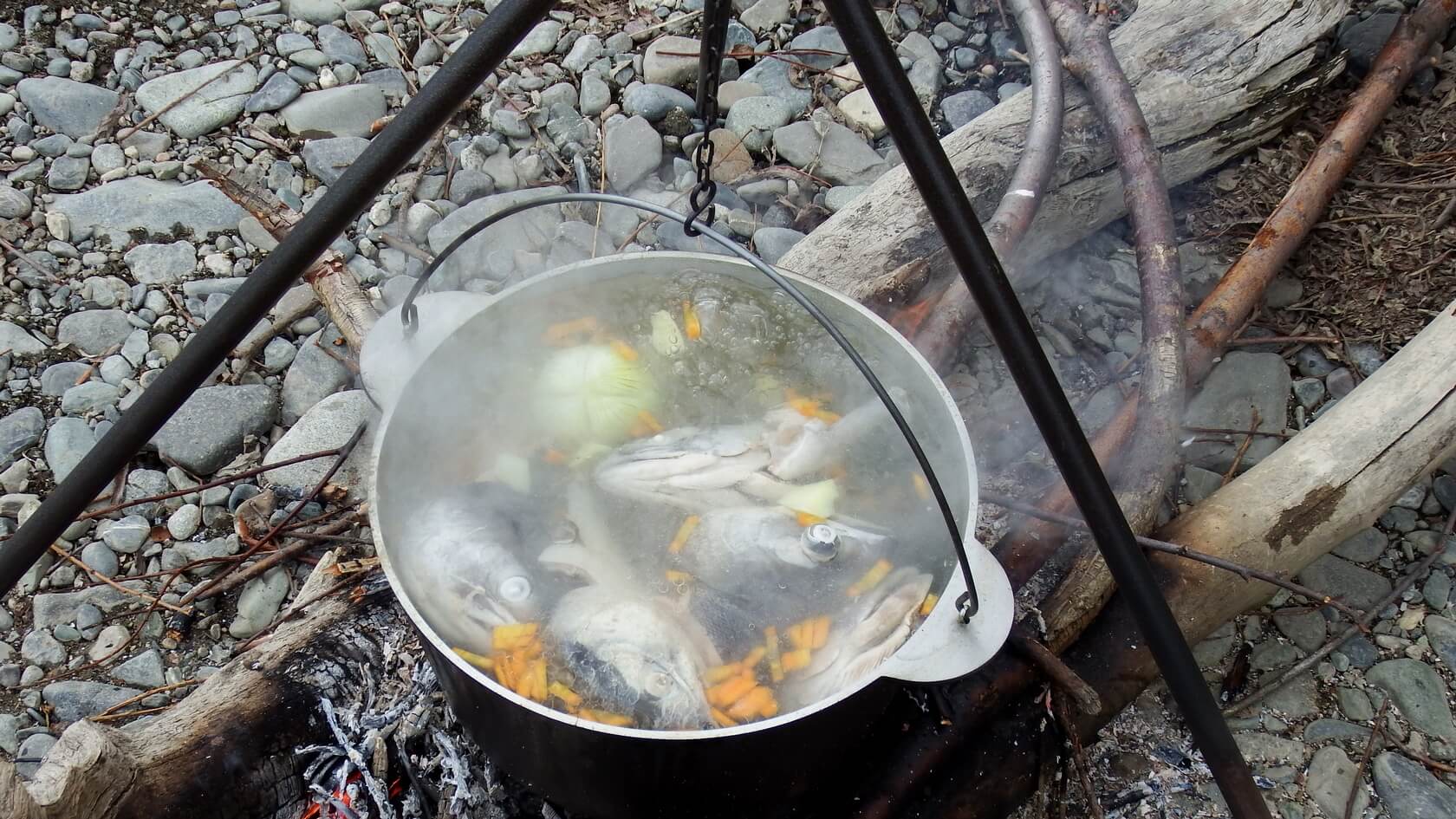 Осенние контрасты Камчатки (25/53)