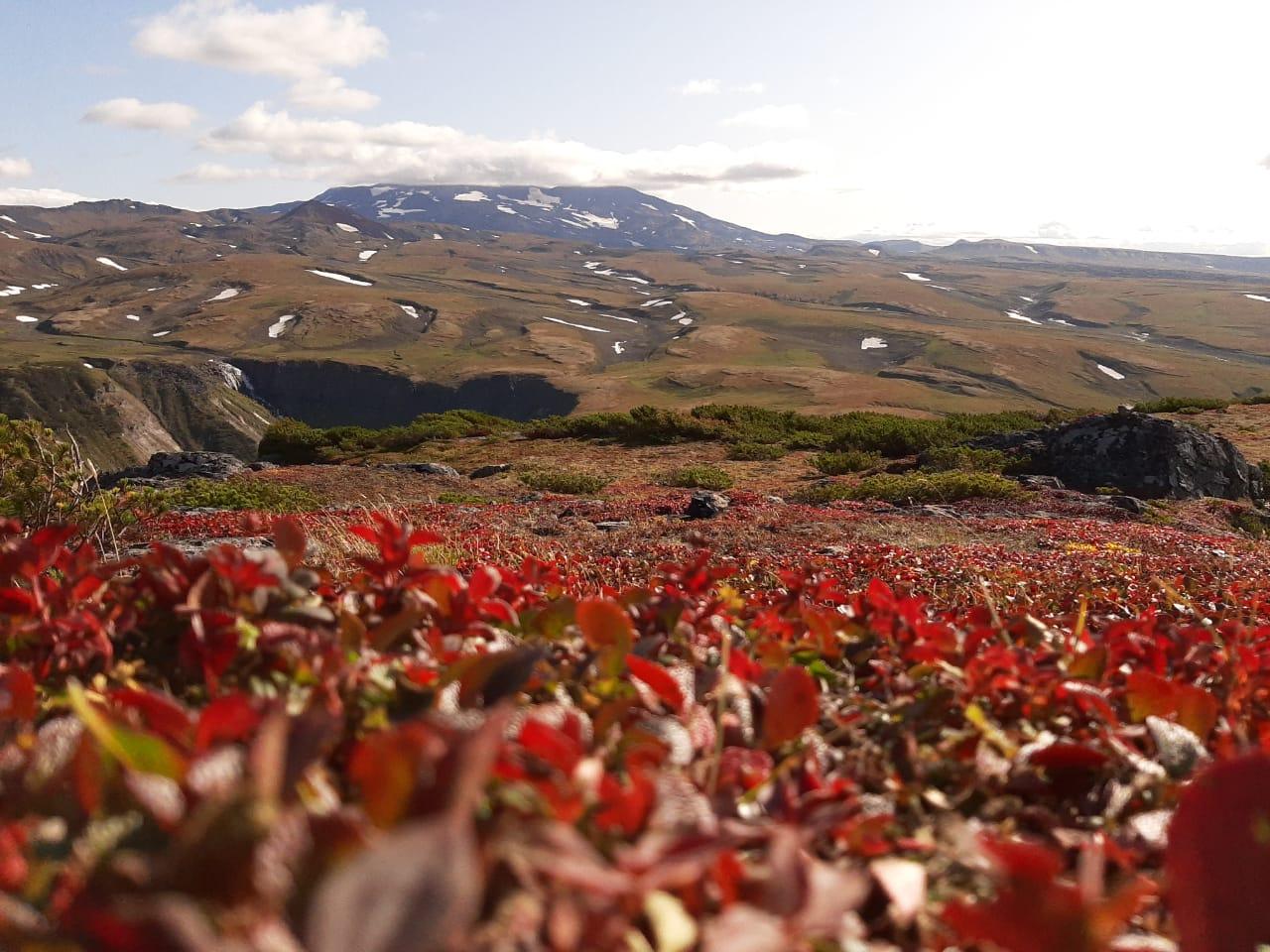 Осенние контрасты Камчатки (7/53)