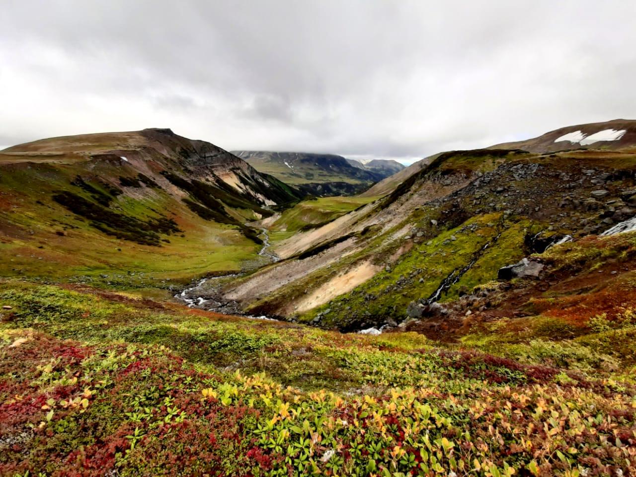 Осенние контрасты Камчатки (6/53)