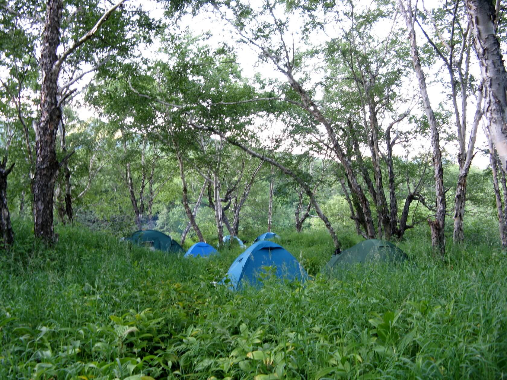 Осенние контрасты Камчатки (24/53)