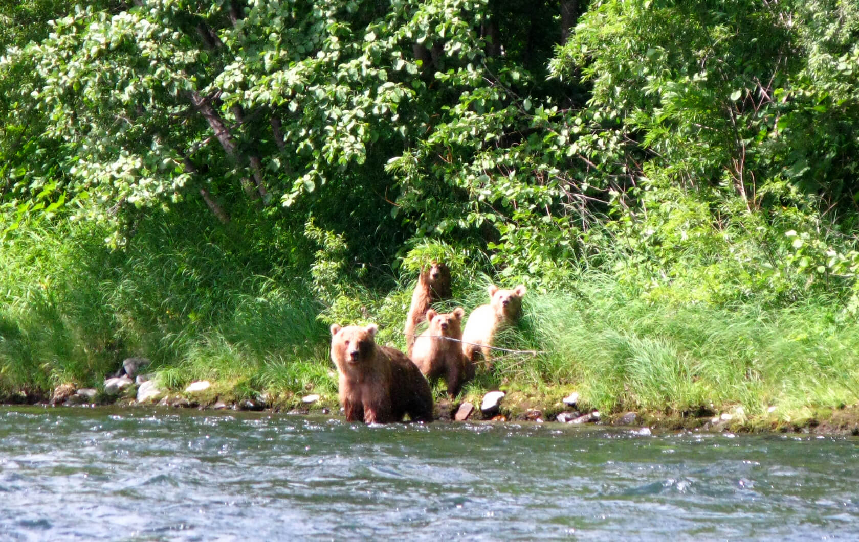 Контрасты Камчатки (36/69)