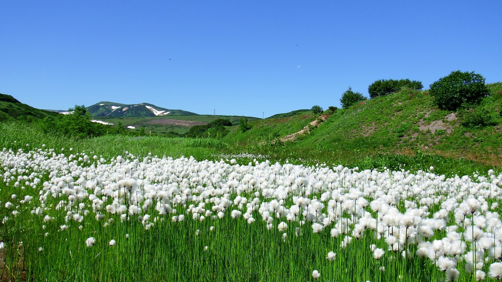 Контрасты Камчатки (17/69)