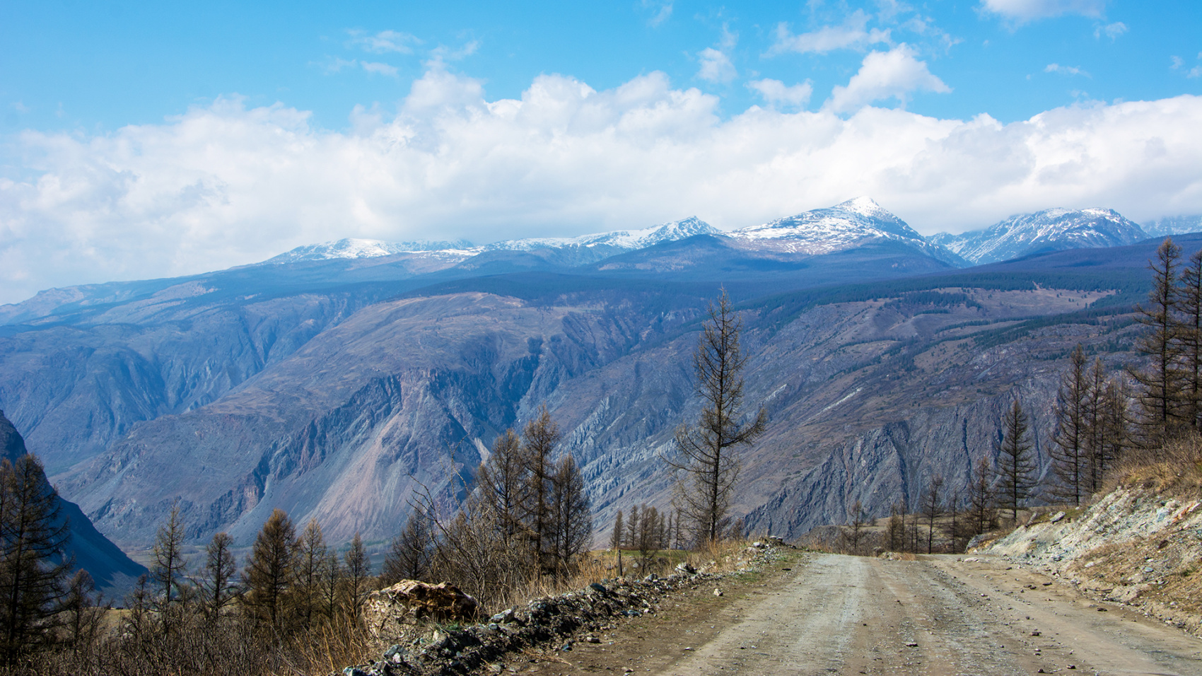 Цветение маральника. Индивидуальный тур. (2/58)