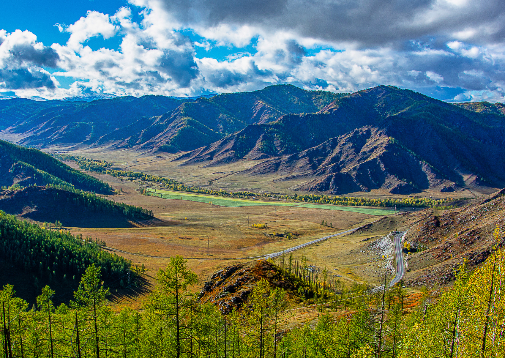 Цветение маральника. Индивидуальный тур. (34/58)
