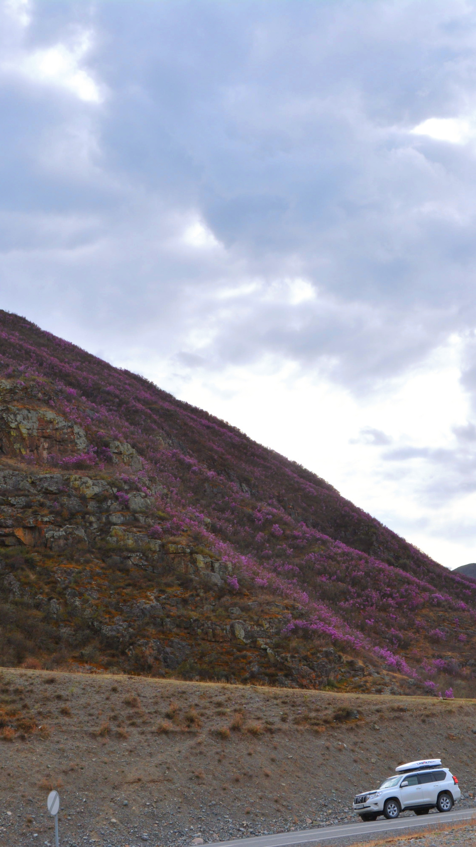 Цветение маральника. Индивидуальный тур. (21/58)