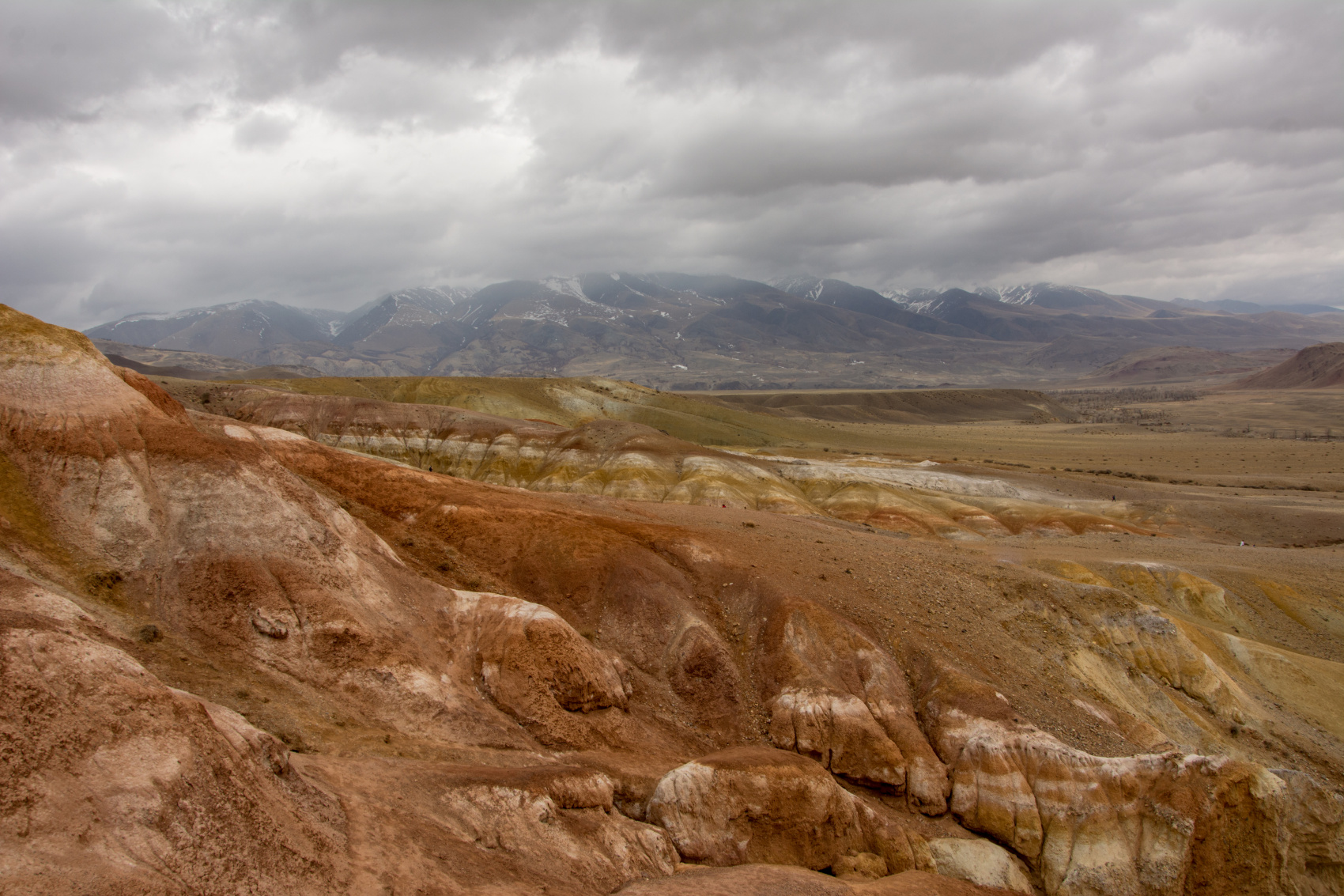 Цветение маральника. Индивидуальный тур. (15/58)