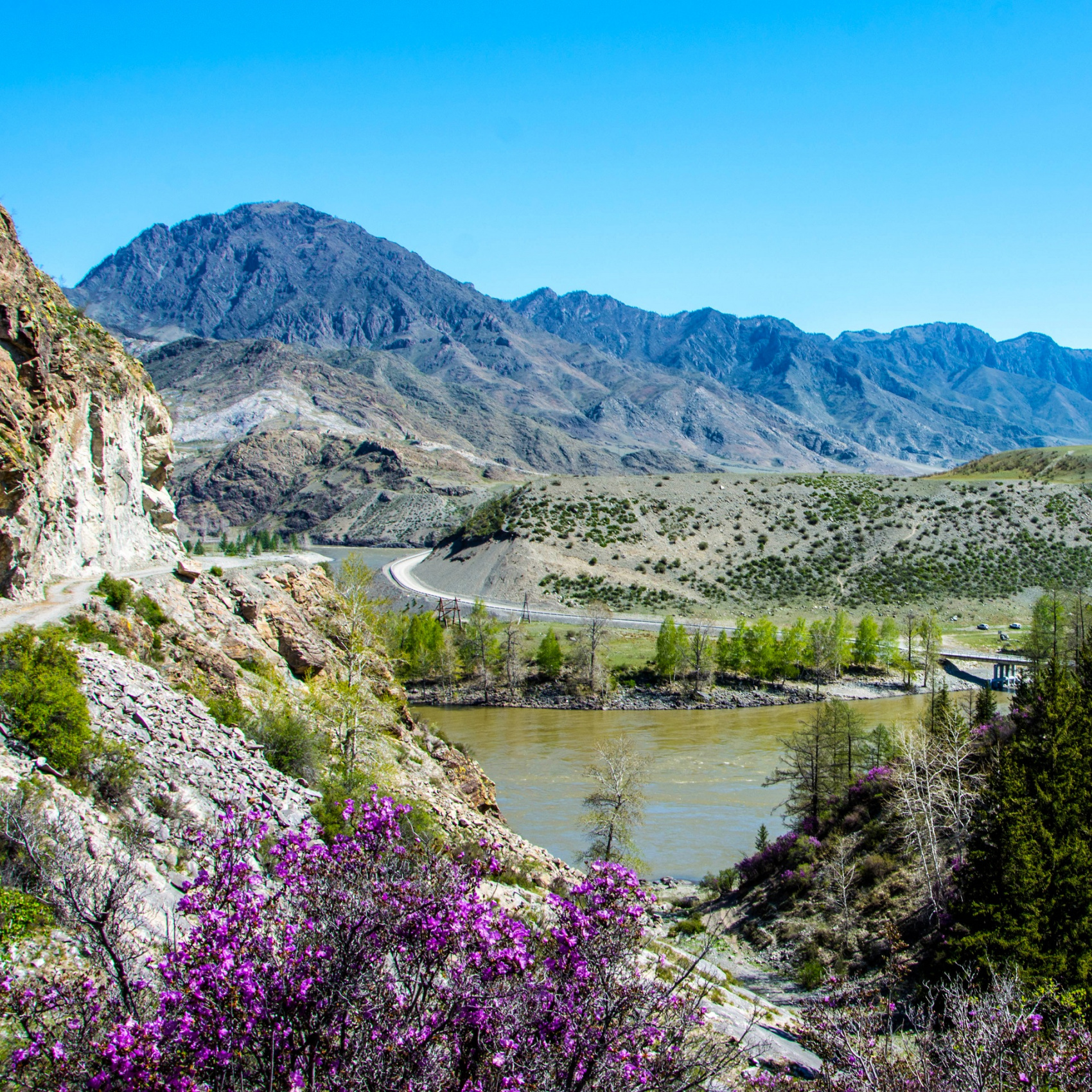 Цветение маральника. Индивидуальный тур. (7/58)