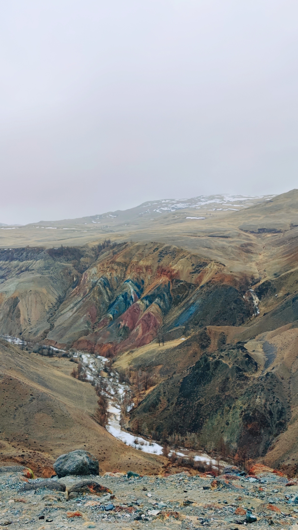 Цветение маральника. Индивидуальный тур. (19/58)