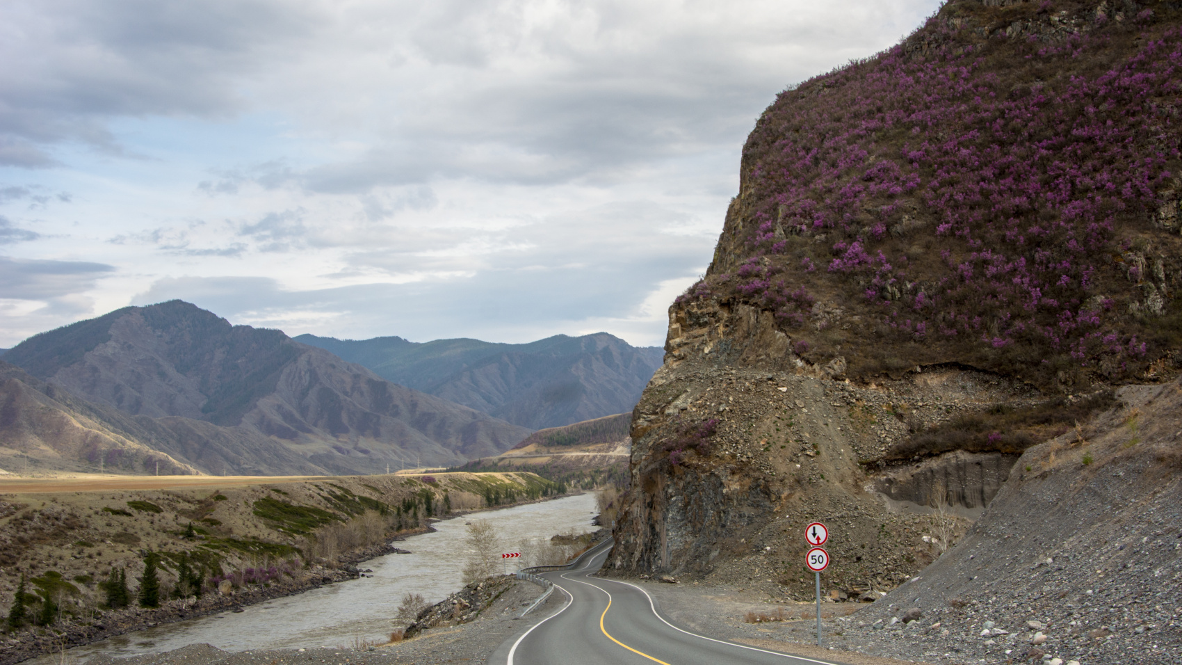 Цветение маральника. Индивидуальный тур. (14/58)