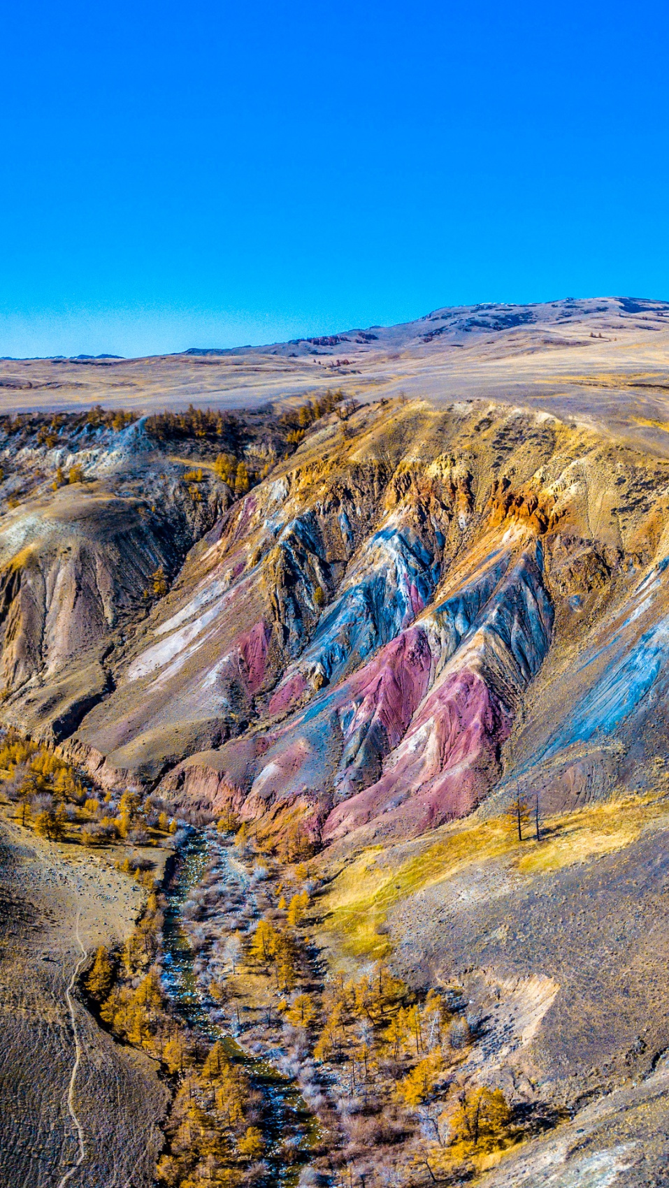 Цветение маральника. Индивидуальный тур. (28/58)