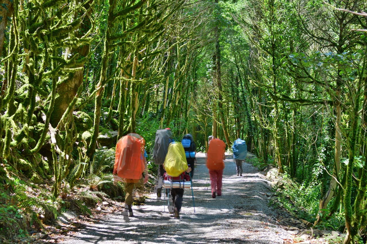 Кавказ: через горы к морю (6/50)