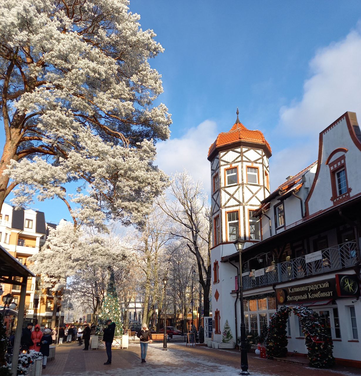 Новогодние каникулы в Калининграде (12/31)