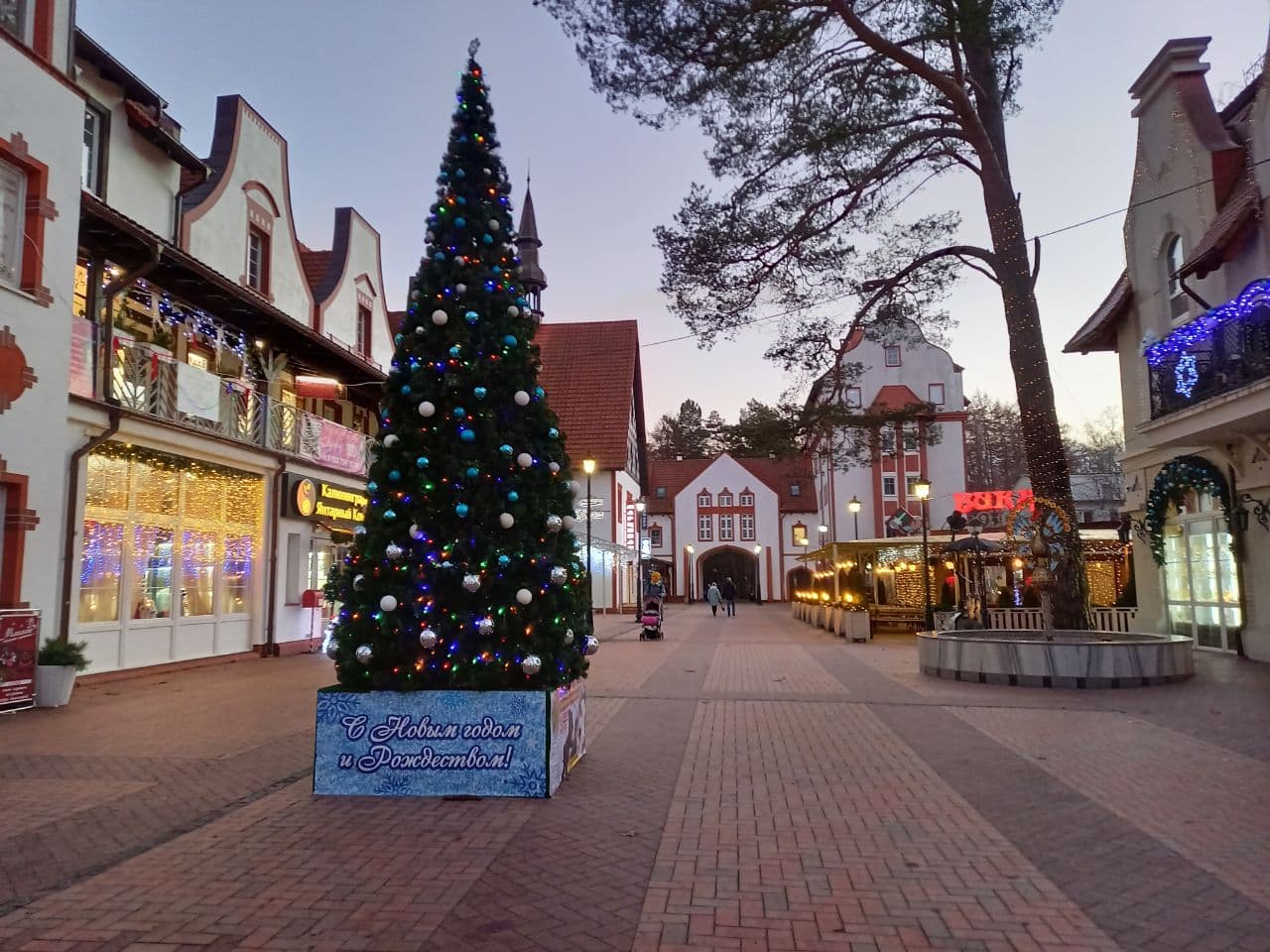 Новогодние каникулы в Калининграде (7/31)