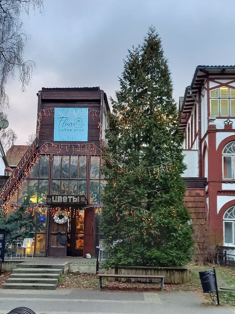 Новогодние каникулы в Калининграде (6/31)