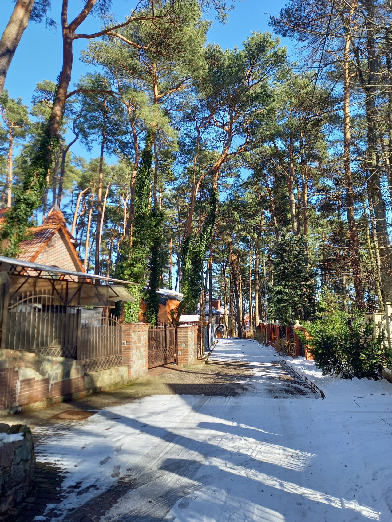 Новогодние каникулы в Калининграде (15/31)