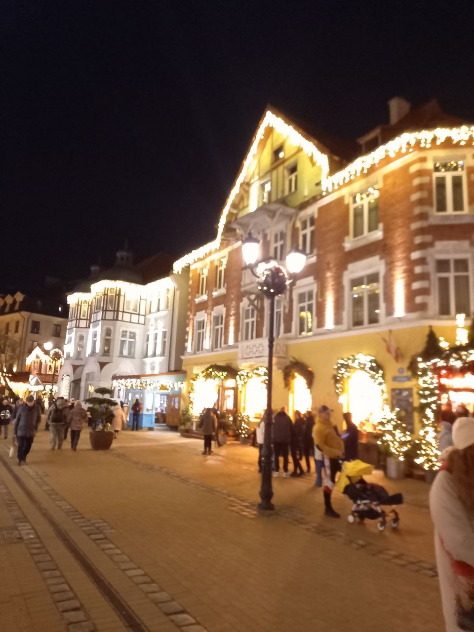 Новогодние каникулы в Калининграде (8/31)