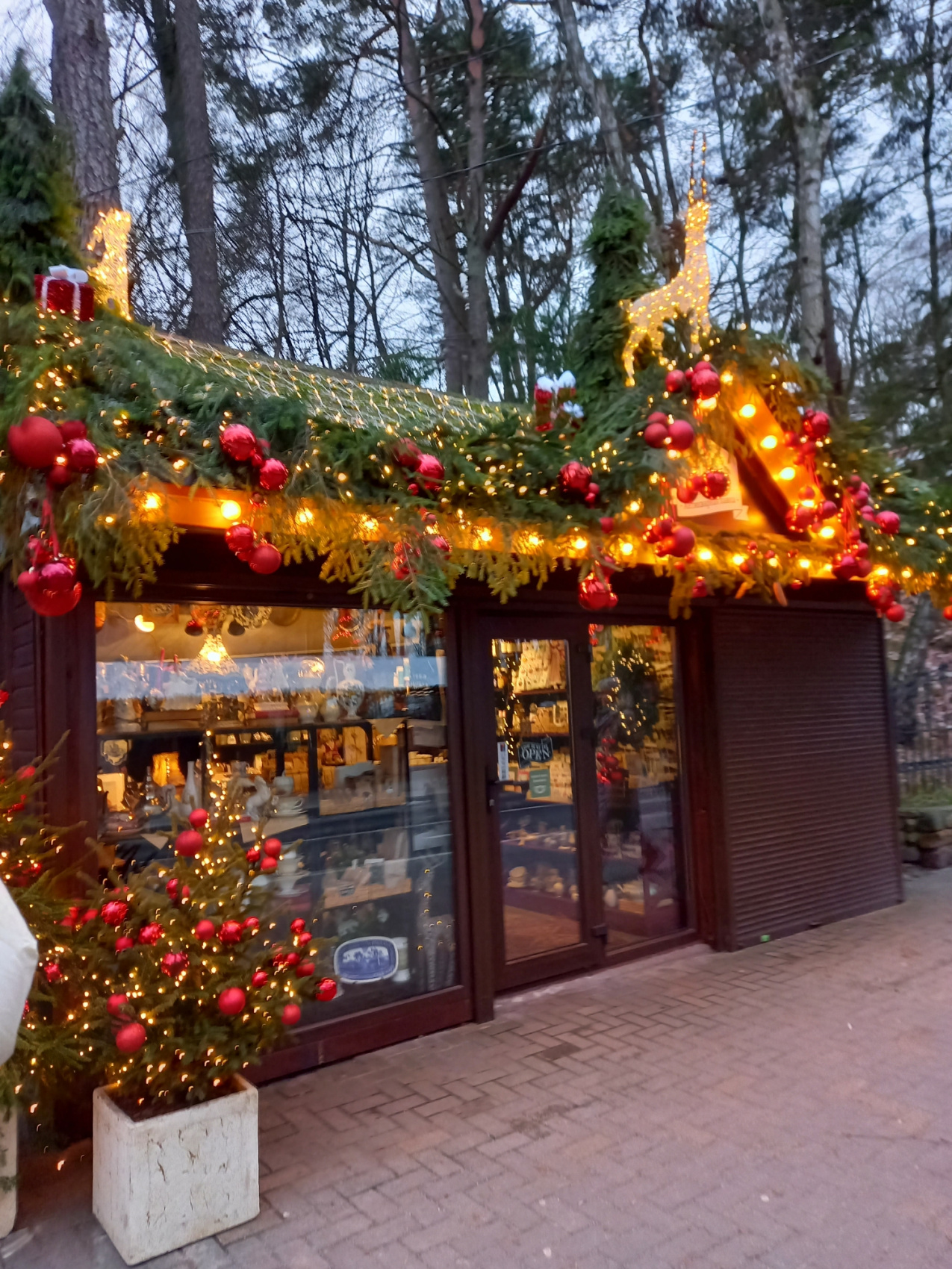 Новогодние каникулы в Калининграде (5/31)