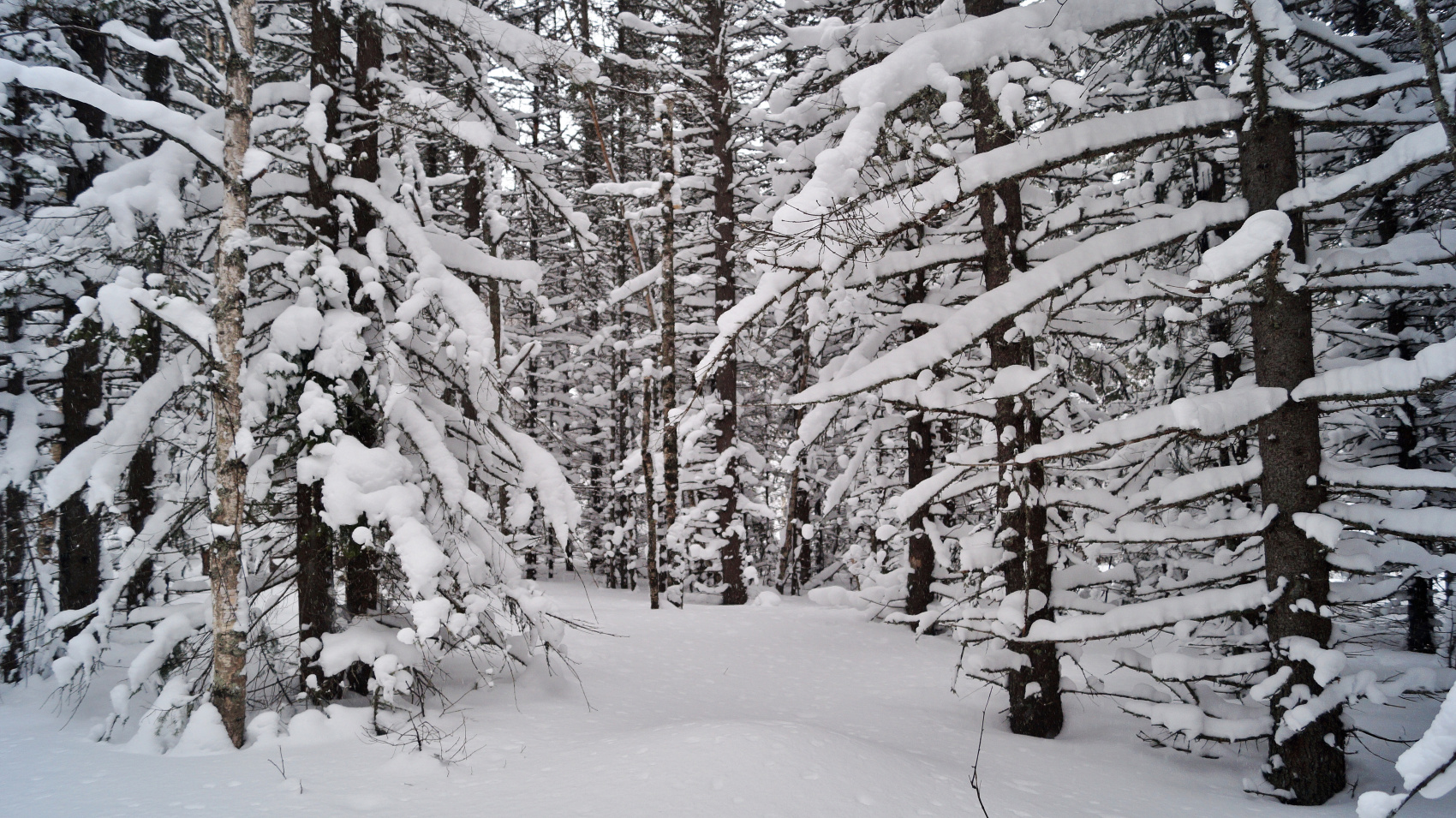 Былинный Таганай (14/40)