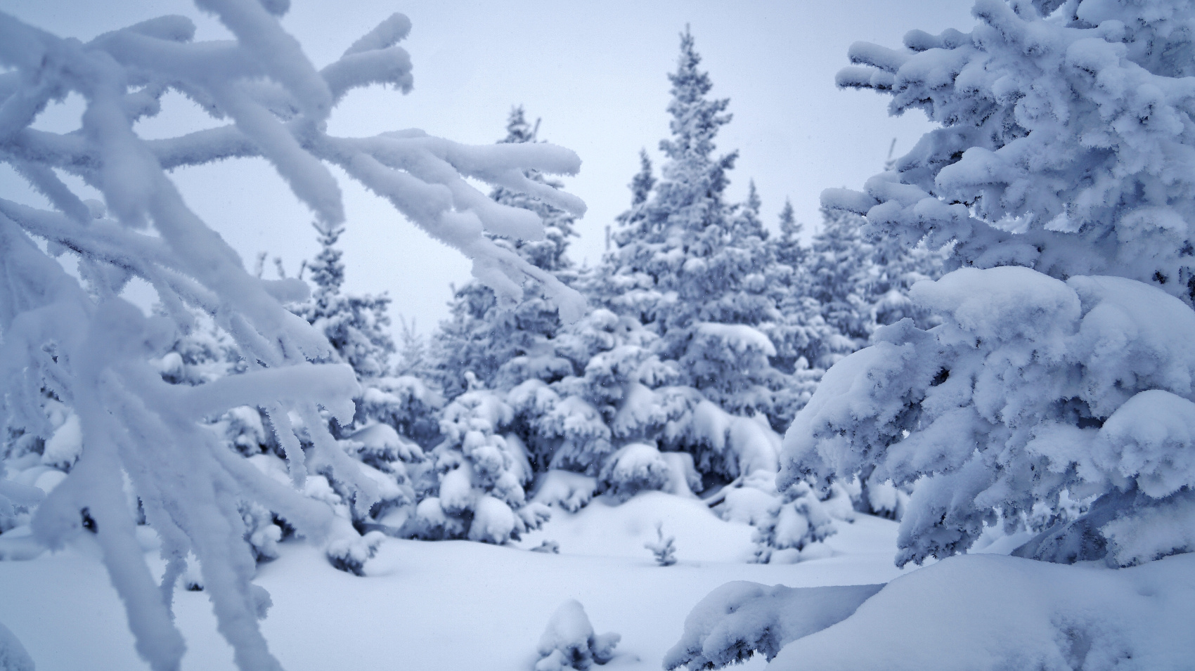 Былинный Таганай (11/40)