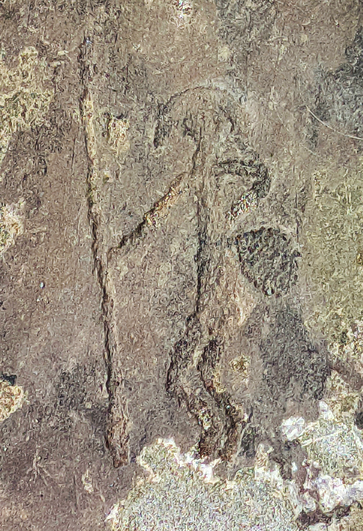 Золотое кольцо Алтая+ Актру. Индивидуальный Вип-тур. (58/121)