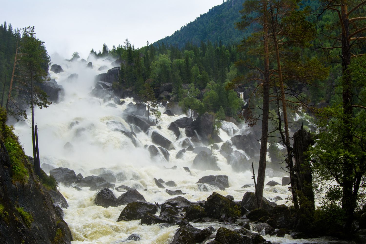 Золотое кольцо Алтая+ Актру. Индивидуальный Вип-тур. (33/121)