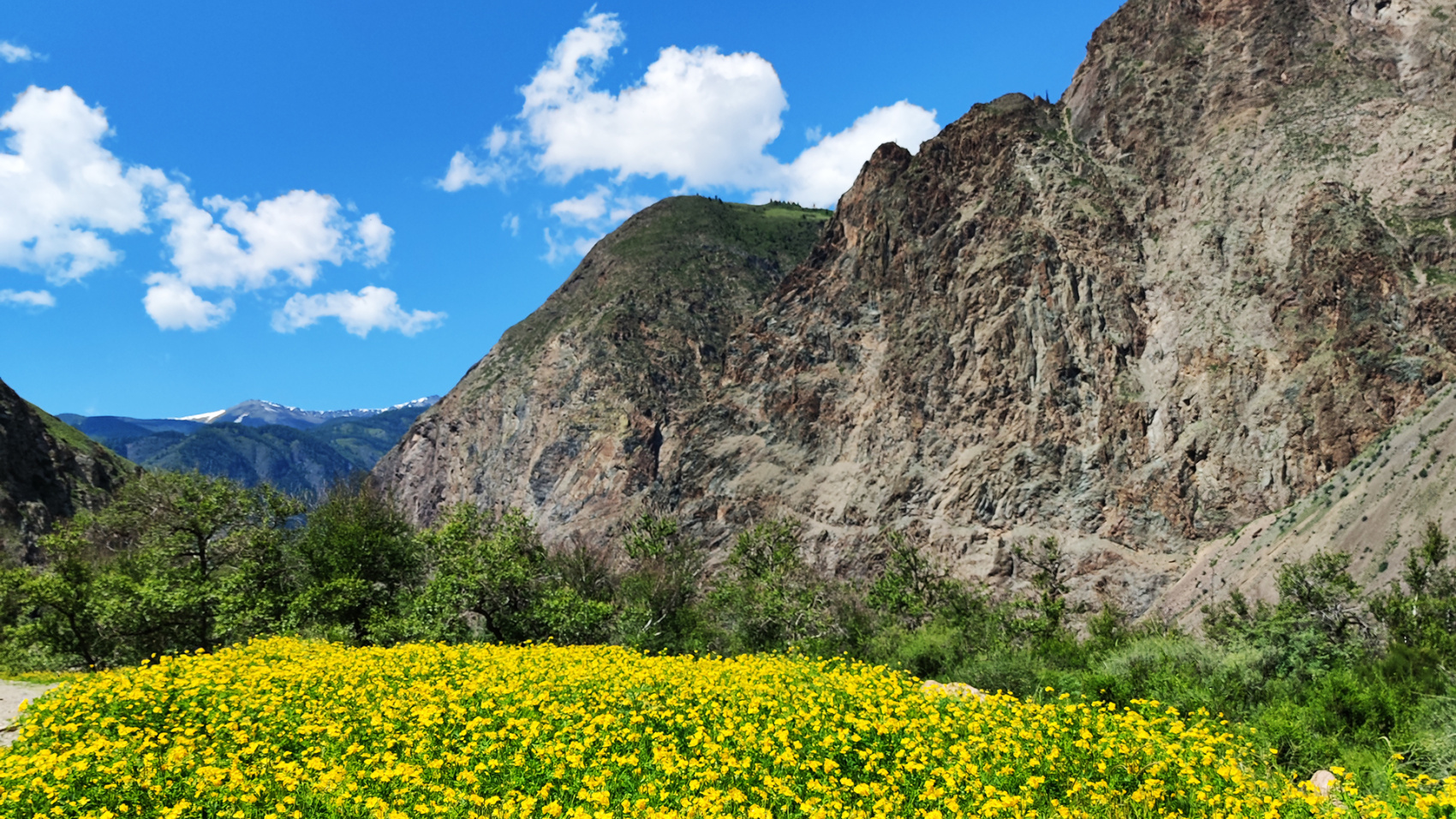 Золотое кольцо Алтая+ Актру. Индивидуальный Вип-тур. (34/121)