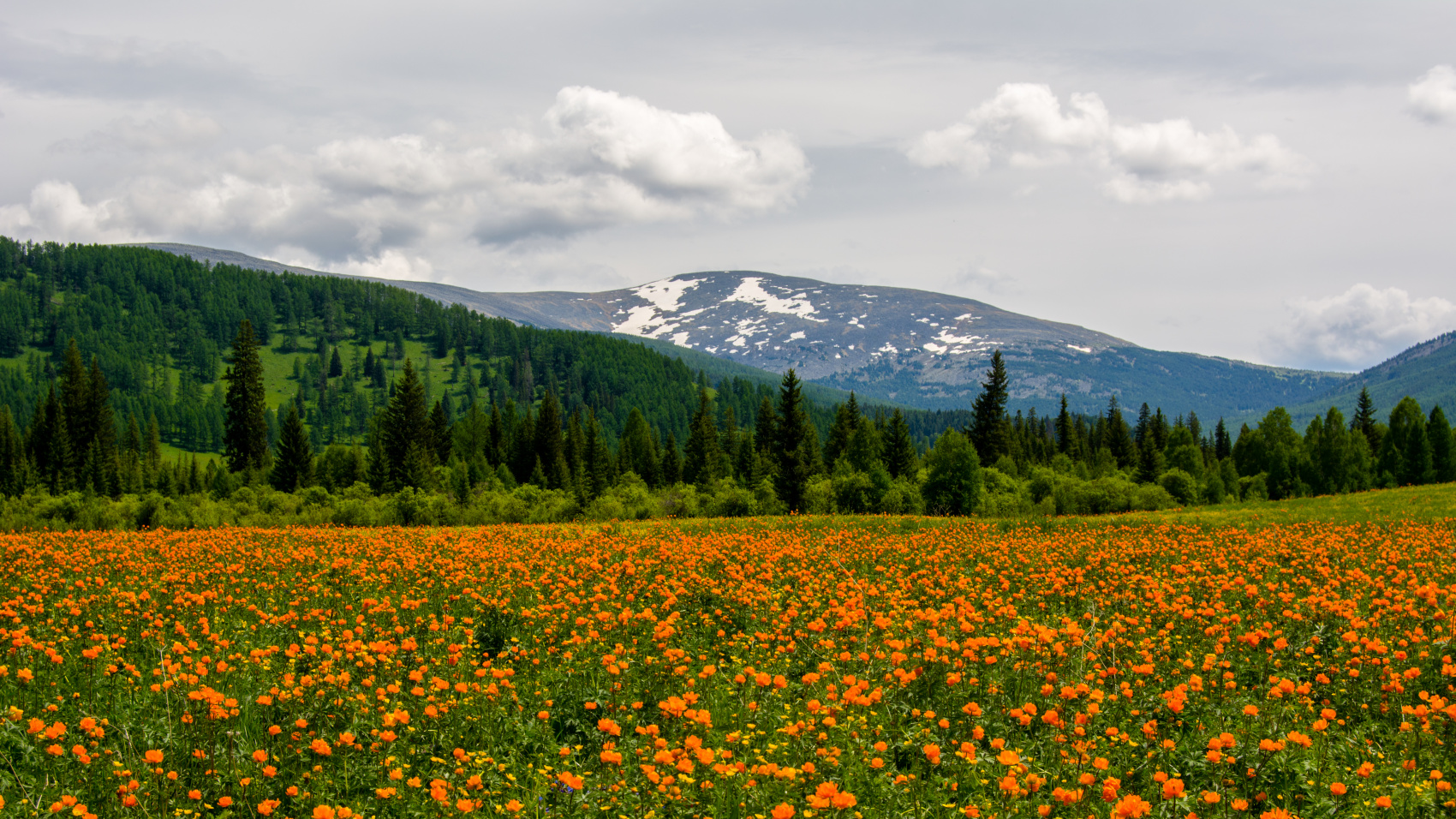 Золотое кольцо Алтая+ Актру. Индивидуальный Вип-тур. (24/121)