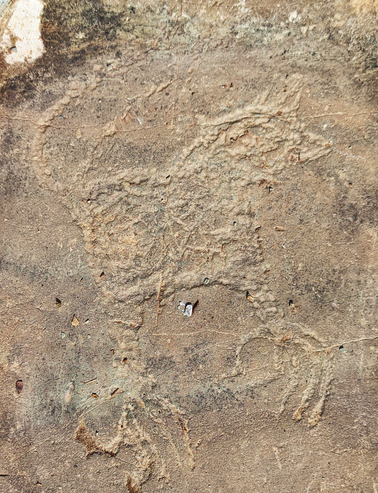 Золотое кольцо Алтая+ Актру. Индивидуальный Вип-тур. (57/121)