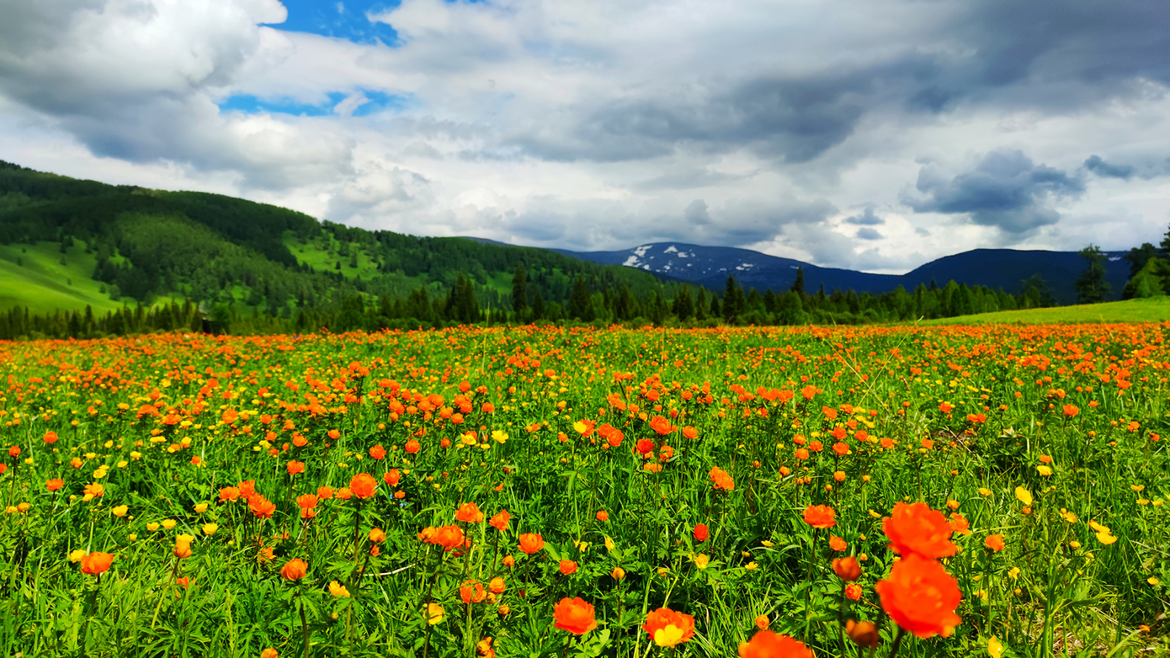 Золотое кольцо Алтая+ Актру. Индивидуальный Вип-тур. (7/121)