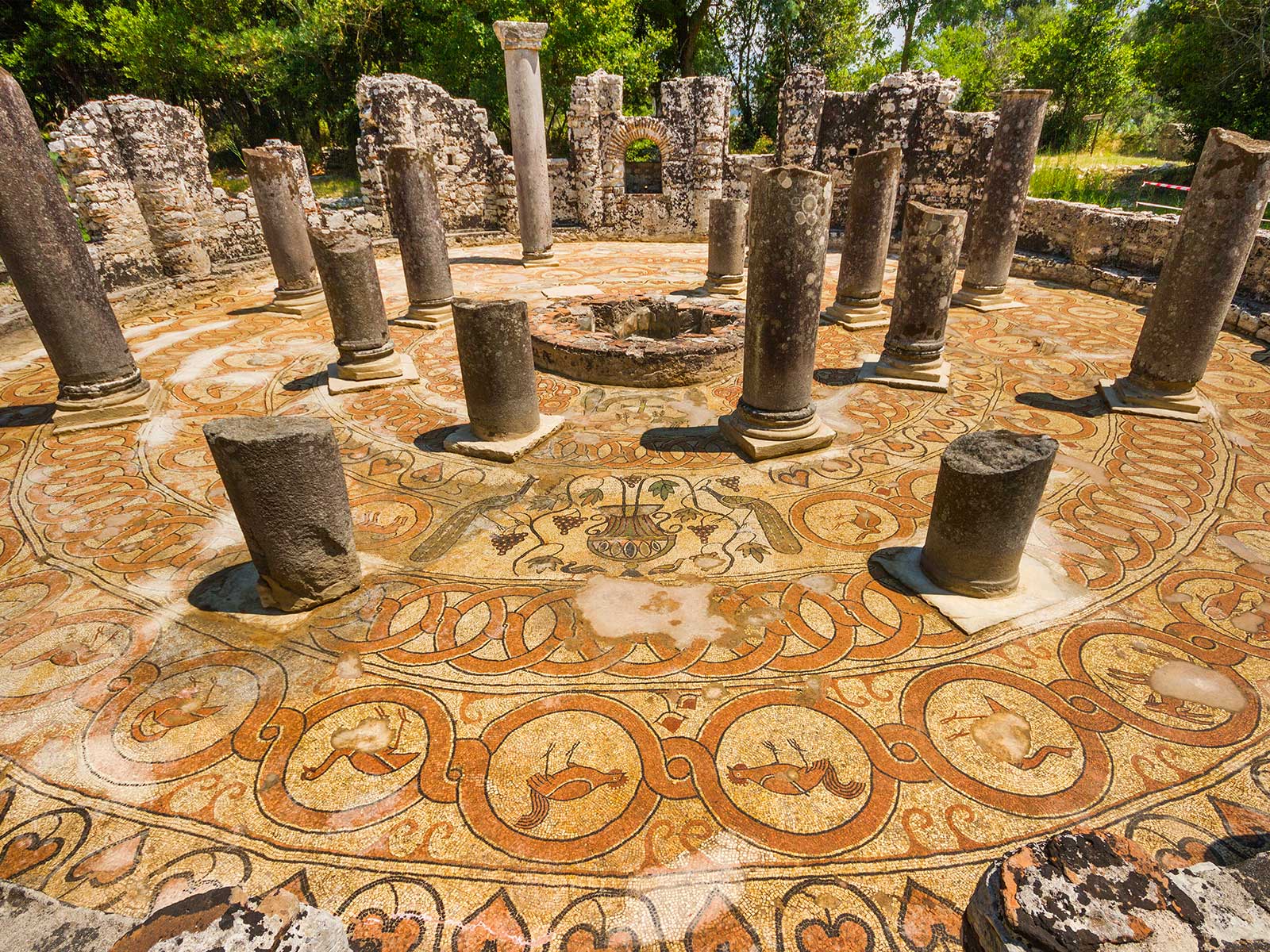 Албанские каникулы (28/56)